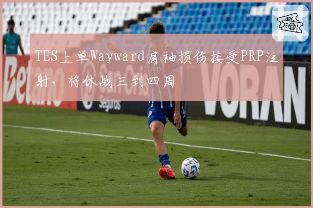 TES上单Wayward肩袖损伤接受PRP注射，将休战三到四周