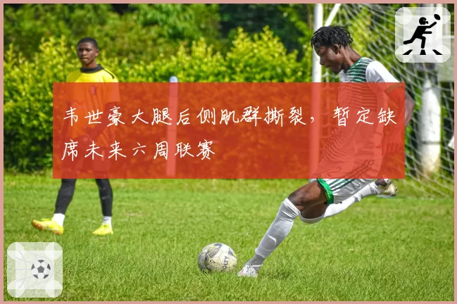 韦世豪大腿后侧肌群撕裂，暂定缺席未来六周联赛