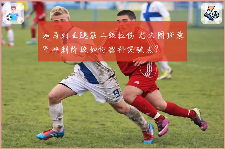 迪马利亚腿筋二级拉伤 尤文图斯意甲冲刺阶段如何弥补突破点？