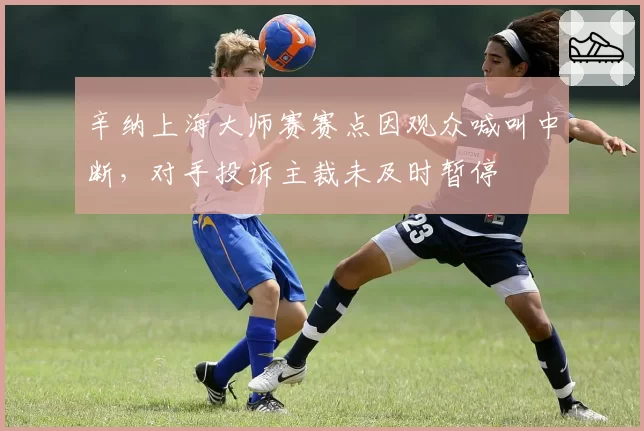 辛纳上海大师赛赛点因观众喊叫中断，对手投诉主裁未及时暂停