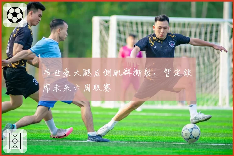 韦世豪大腿后侧肌群撕裂，暂定缺席未来六周联赛